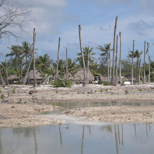 Impacts of coastal erosion and drought on coconut palms in Eita Tarawa Kiribati _ climate