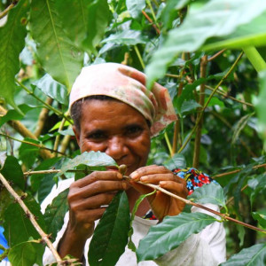 Fairtrade Photo 1