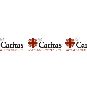 Caritas banner