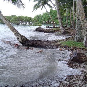 Nukutoa High Tide Papua New Guinea climate change Professor Richard Moyle