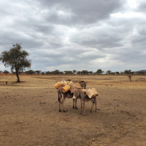 Photo 1 Drought conditions in Kenya