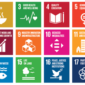 Sustainable development goals en